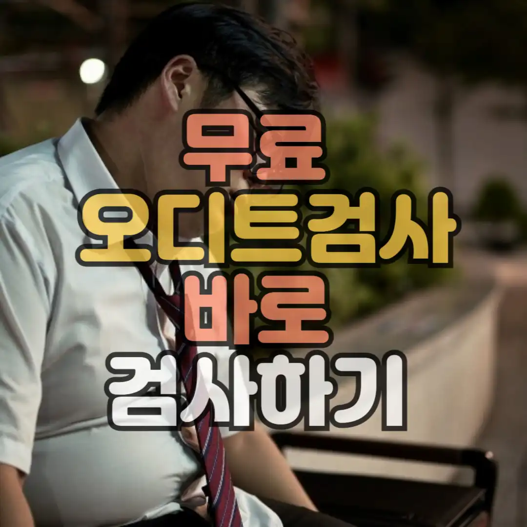 무료오디트 검사 바로 시작