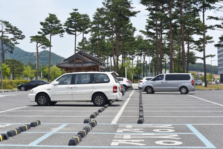 자연 속 힐링! 안동 천년숲 황토길 맨발걷기 체험 후기 관련 사진