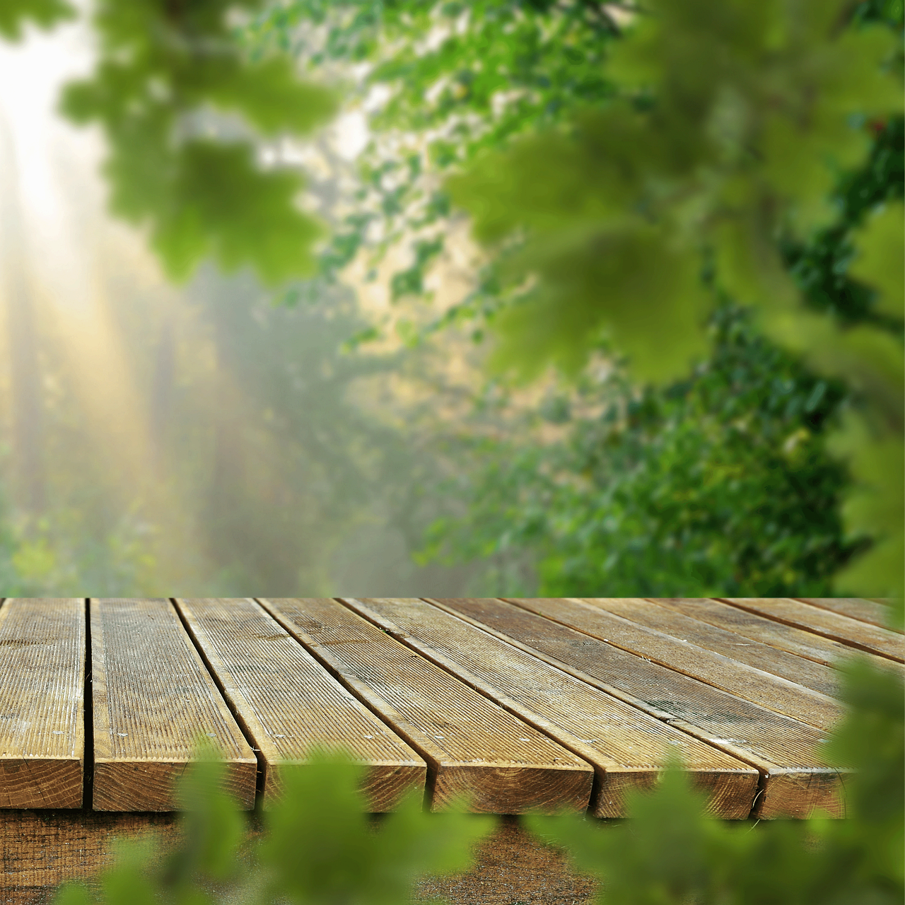 한 달간 '수면 명상 유튜브' 실험기