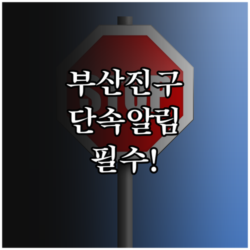 부산진구 주정차단속알림 서비스 대상 ..