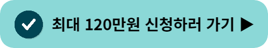 서울형 유급병가지원
