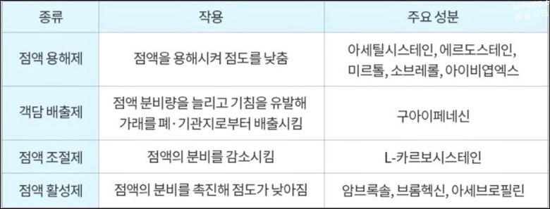 거담제 종류