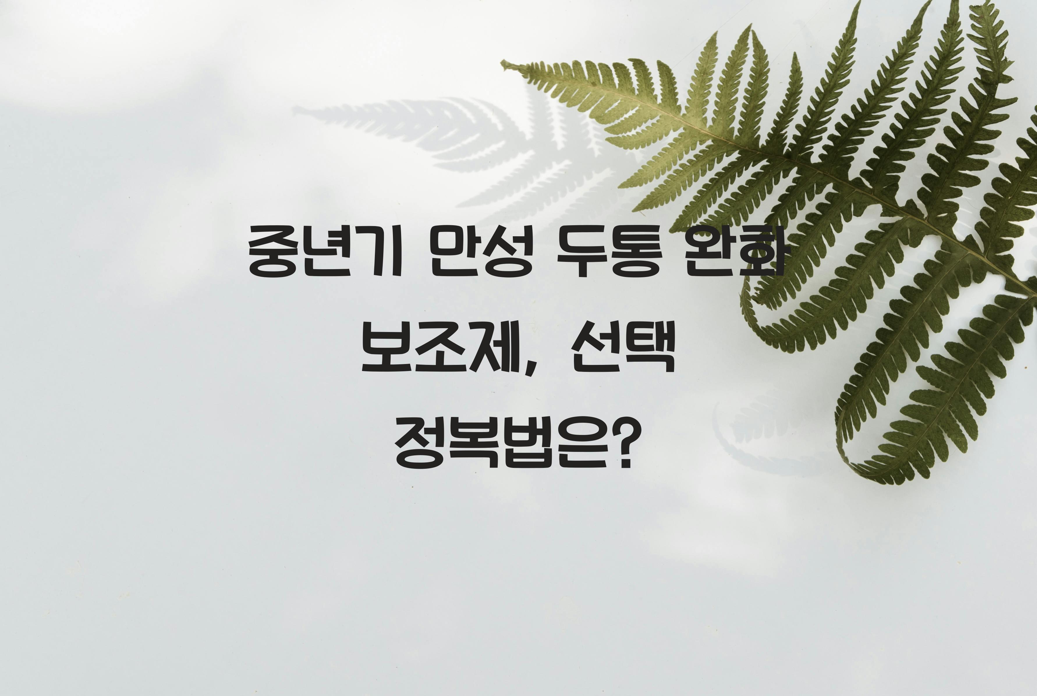 중년기 만성 두통 완화 보조제