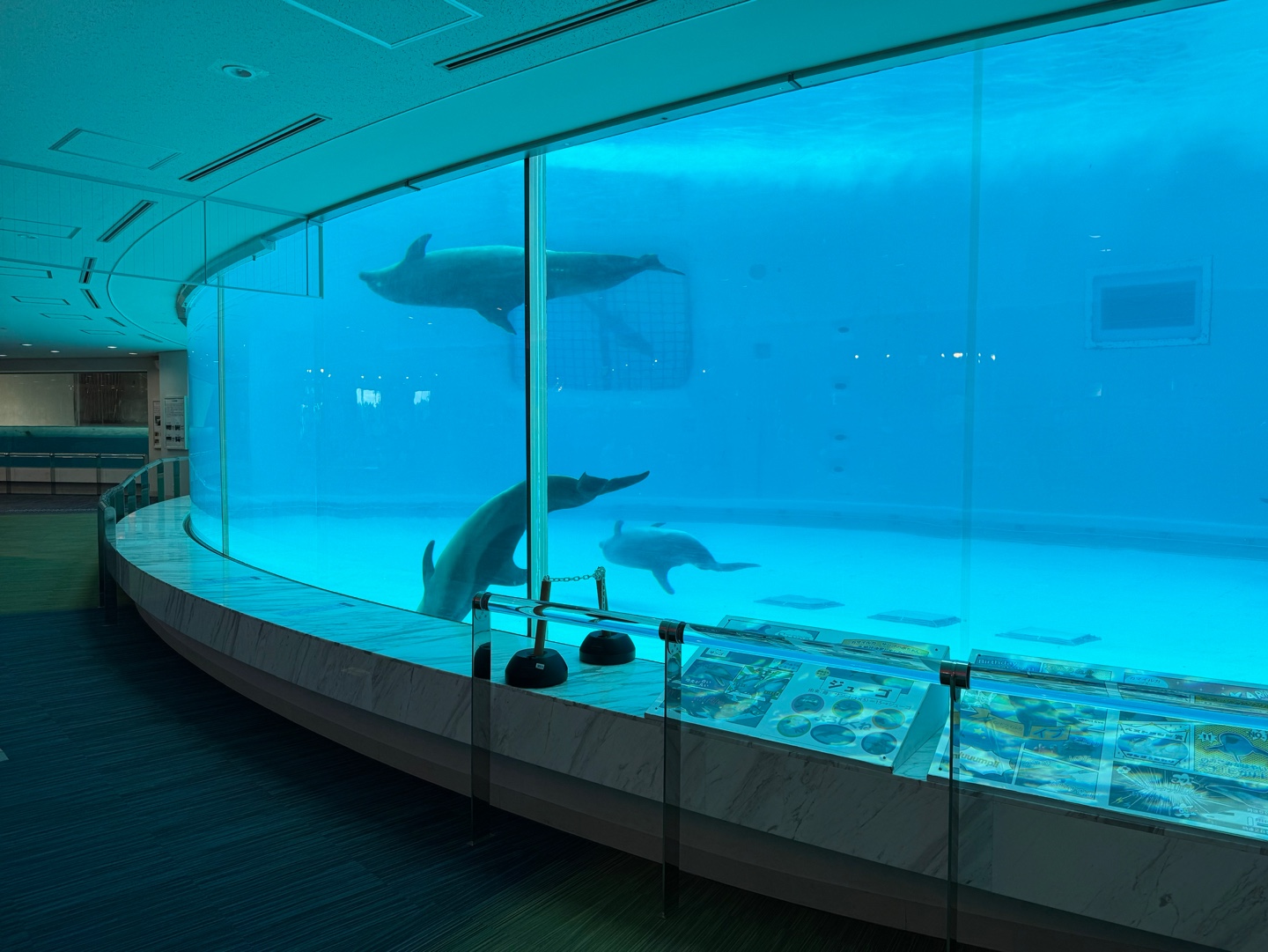 후쿠오카마린월드 02