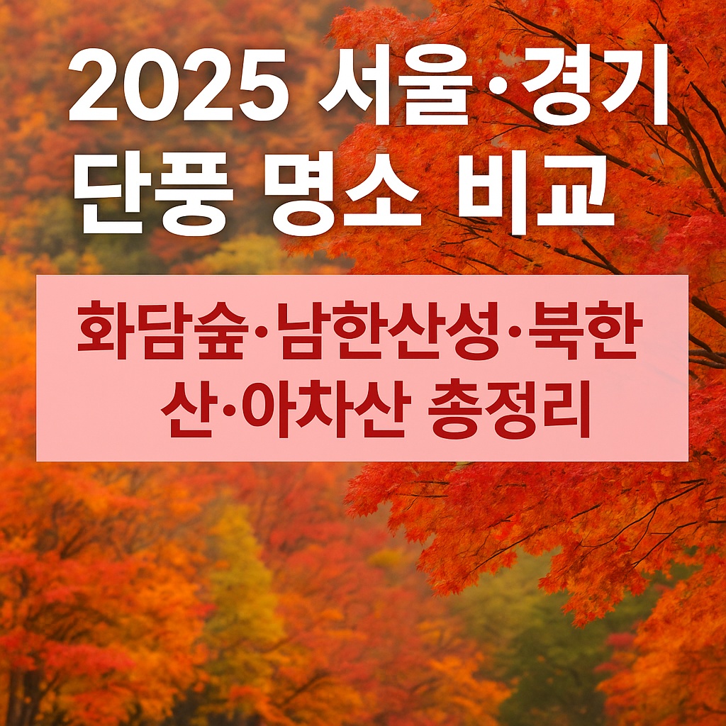 2025 서울·경기 단풍 명소 비교|화담숲·남한산성·북한산·아차산 총정리