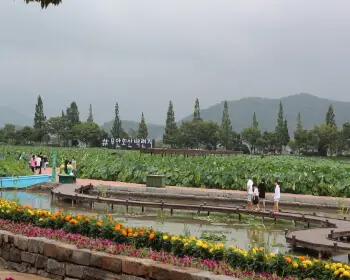 무안 연꽃축제_13