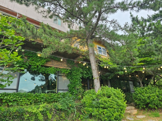 언덕의바람 건물