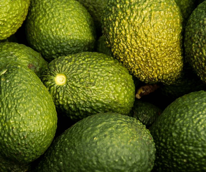 세로토닌 음식 아보카도2