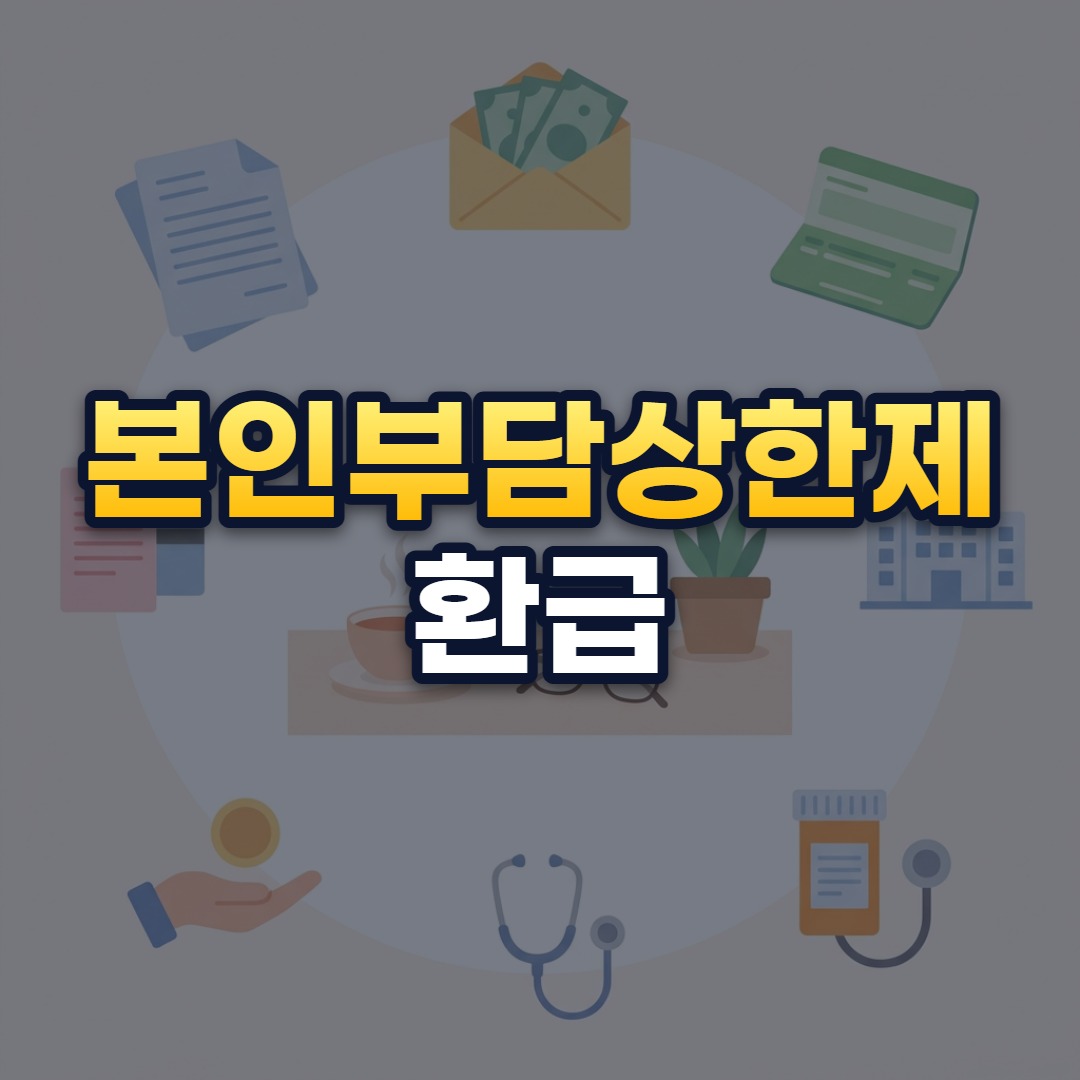 본인부담상한제 환급
