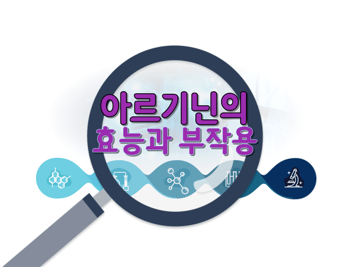 아르기닌의-효능과-부작용