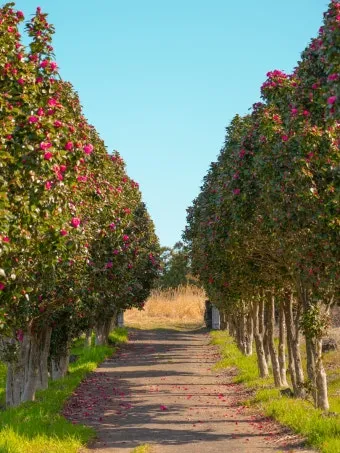 제주도 가볼만한곳 10곳 여행지 모음_5