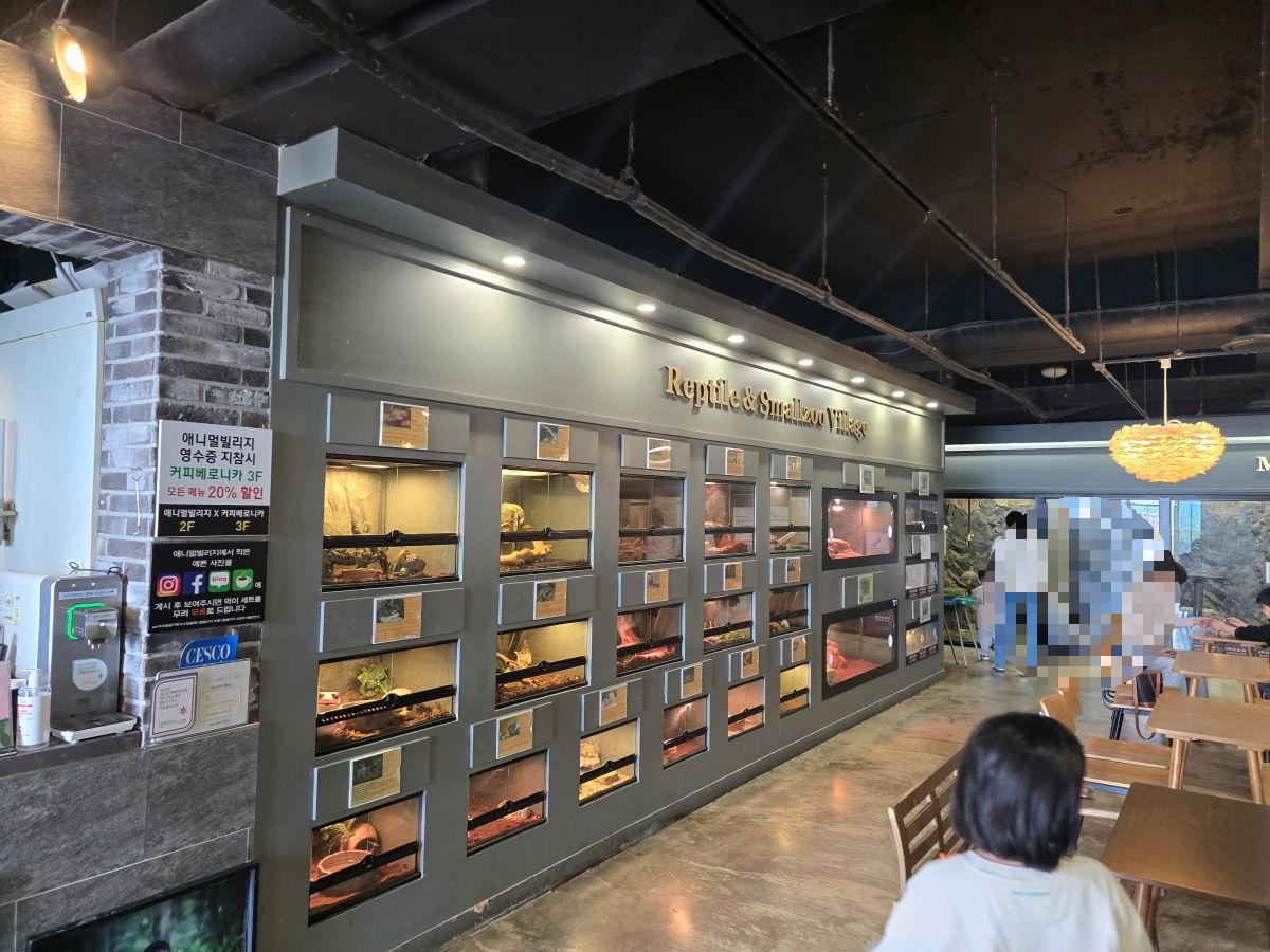 애니멀빌리지-실내