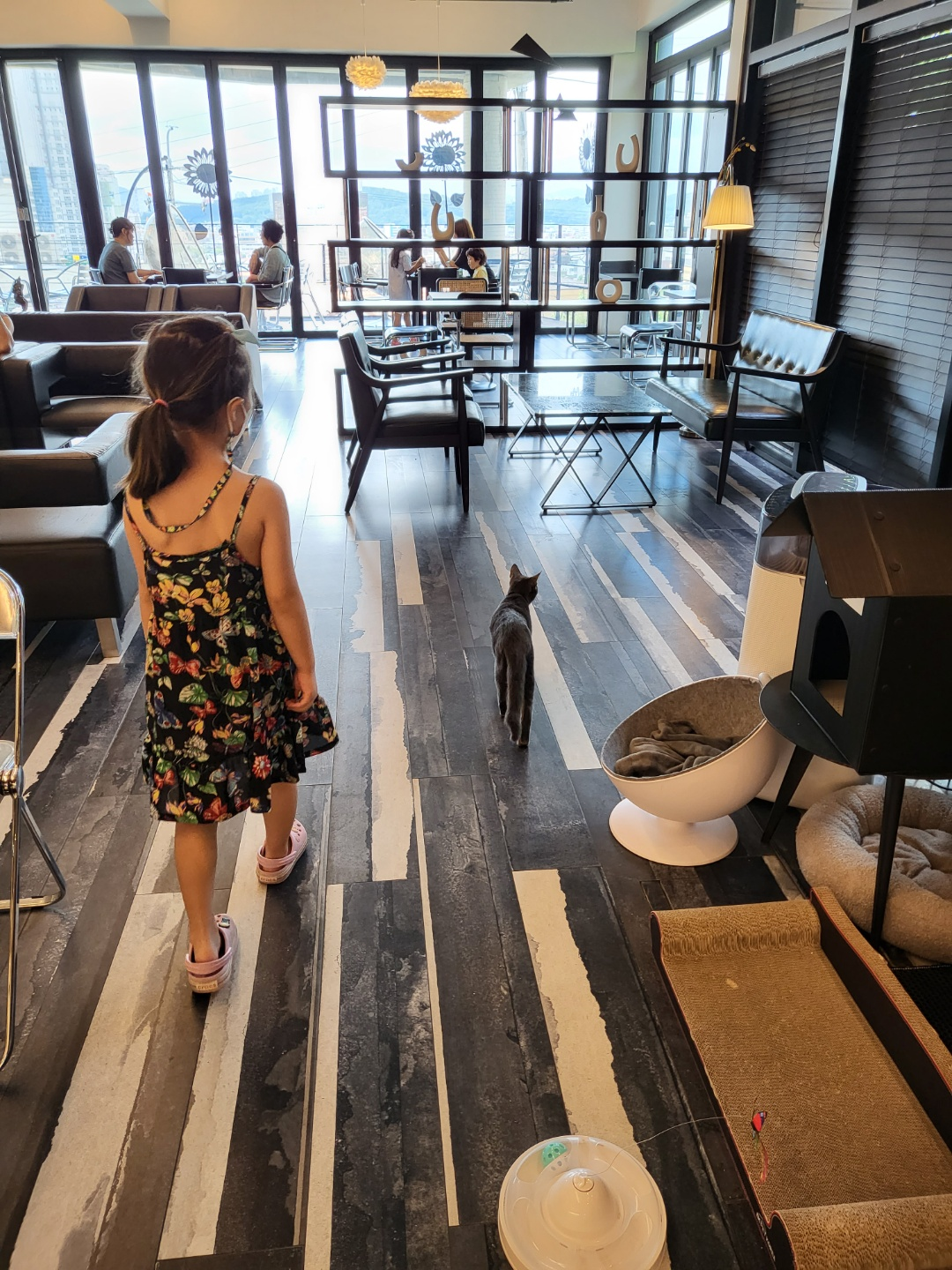 베로니 카페(청주)