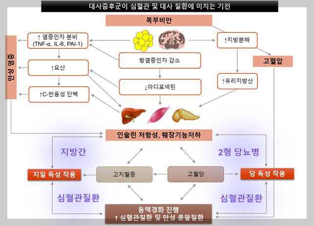 대사증후군 심혈관질환