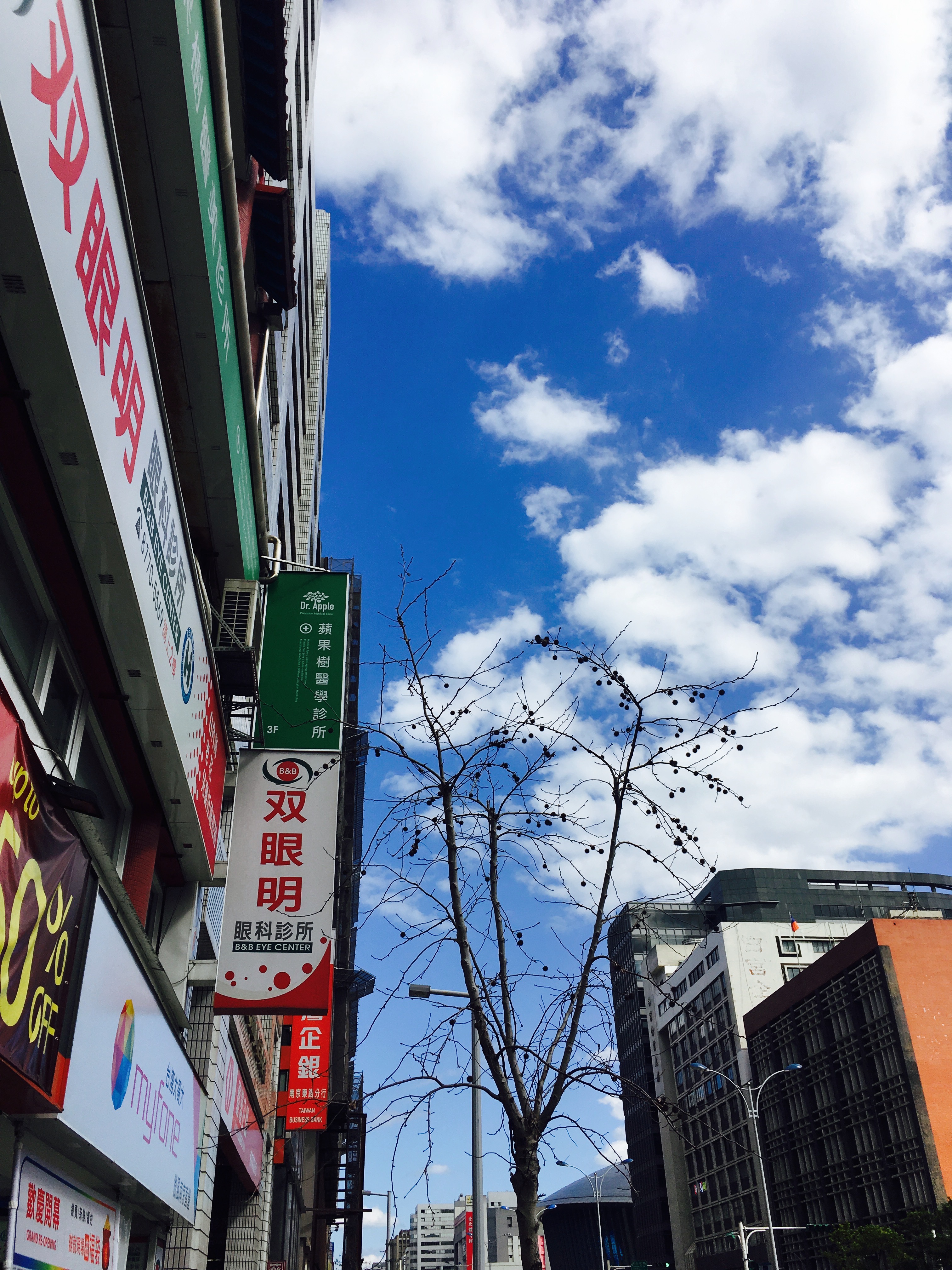 대만 길거리와 타이베이의 청량한 날씨