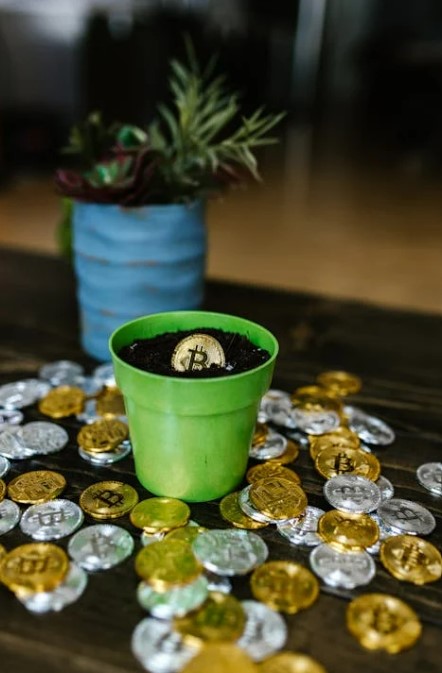 솔레이어 코인 전망 및 투자 정보 총정리