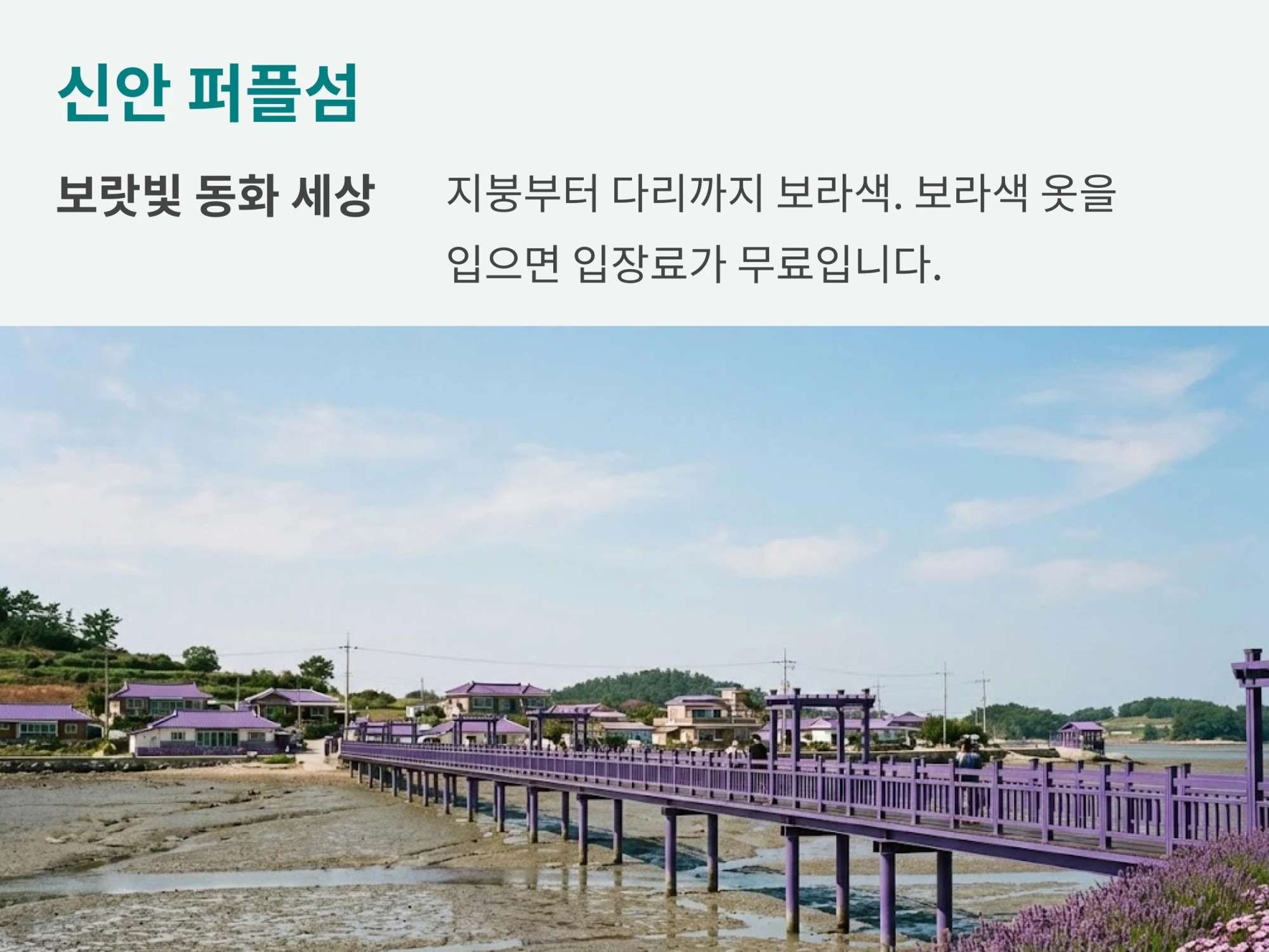 보라색 다리와 보라색 지붕의 마을 풍경 사진에 '보랏빛 동화 세상, 보라색 옷을 입으면 입장료가 무료'라는 안내가 적힌 이미지