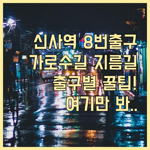 신사역 8번 출구 가로수길 가는 법 ..