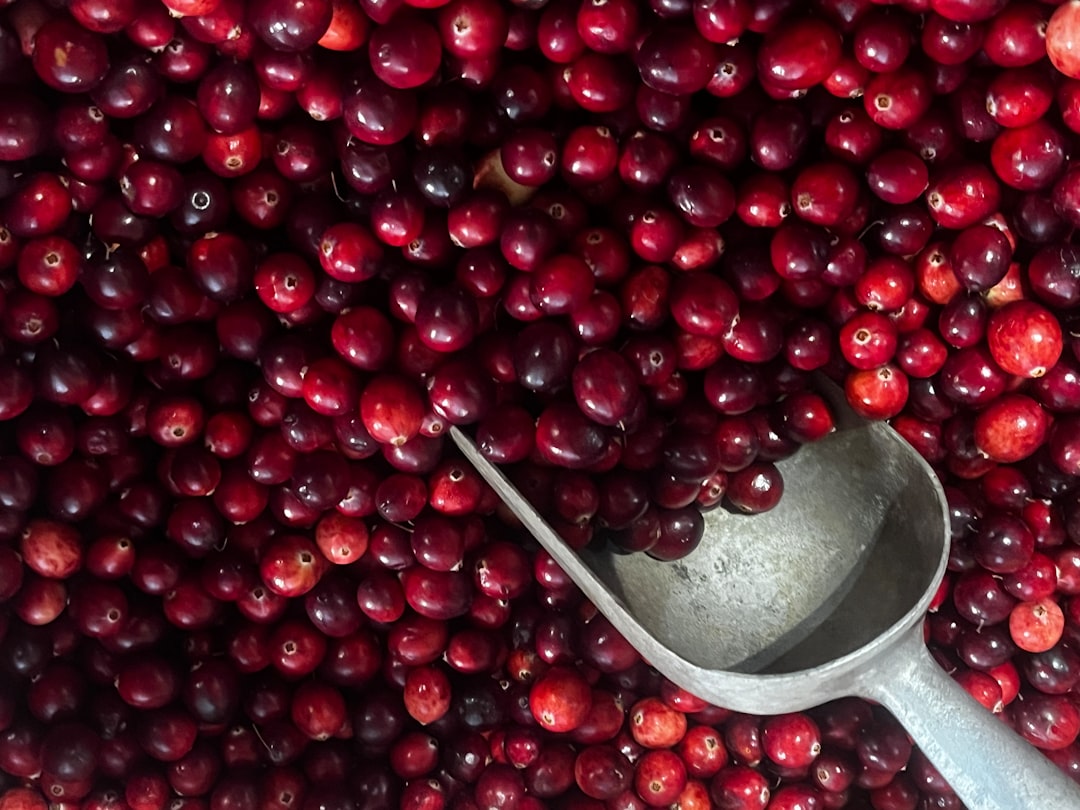 Cranberry