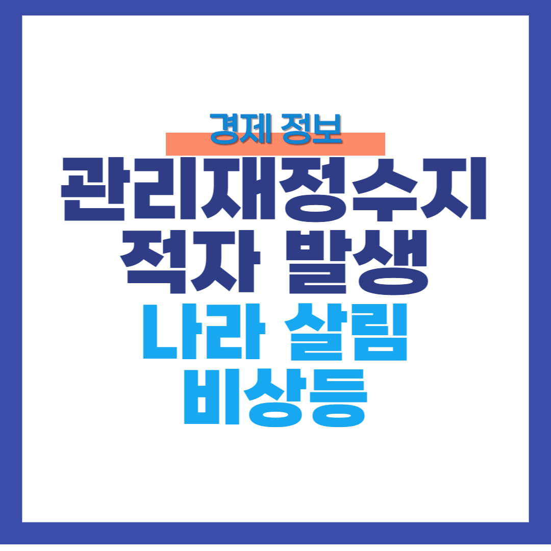 관리재정수지적자발생 썸네일