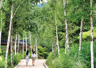 가평 가볼만한 곳