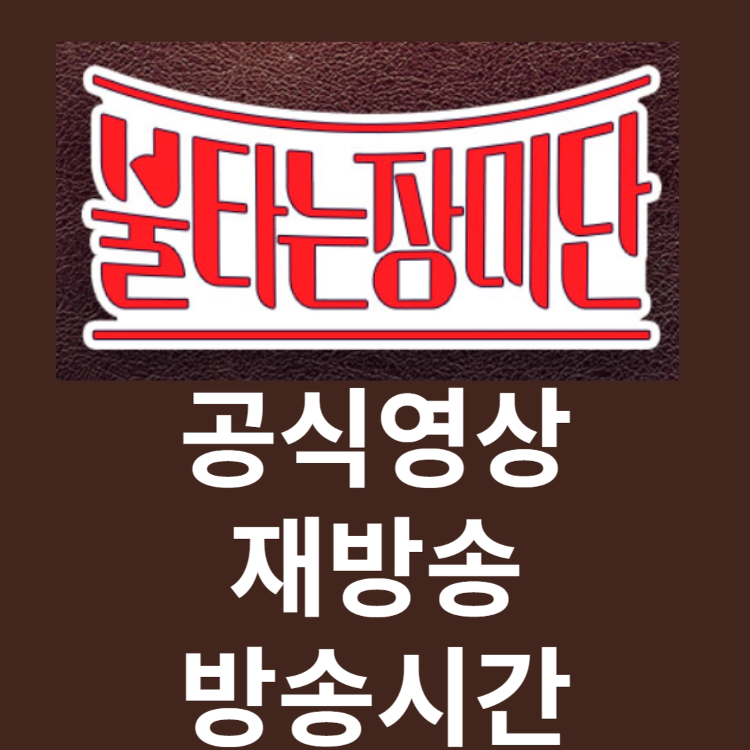 불타는 장미단 공식영상-재방송-방송시간