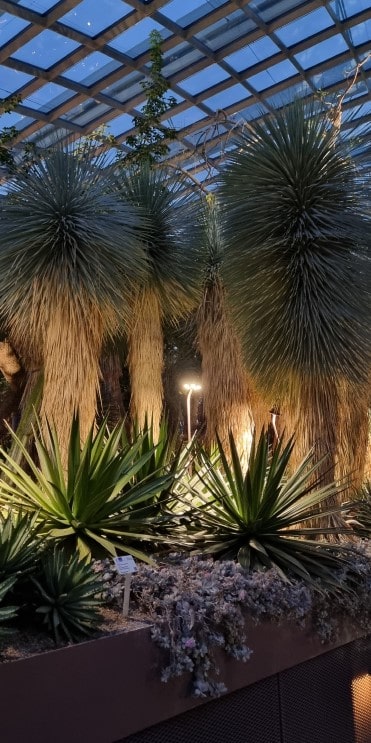 가든스 바이 더 베이 플라워 돔