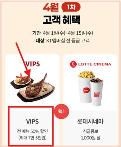 kt 빕스 50%