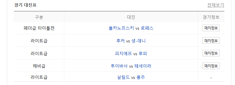 UFC 325 경기 대진표