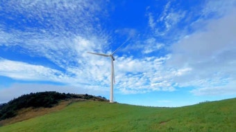 평창 대관령 목장