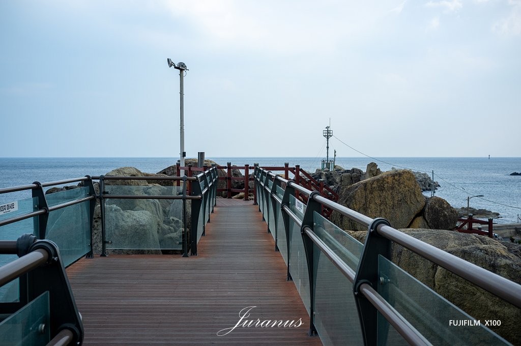 능파대07