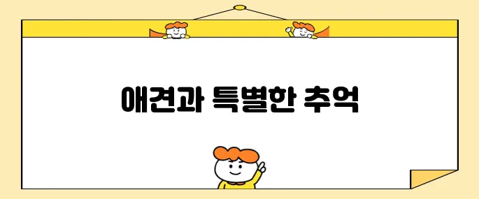 강원도 여행에 애견과 함께하는 특별한 체험 춘천 호텔 헤이 춘천 펫룸