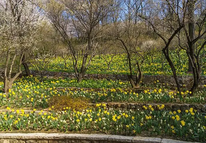화담숲-예약하기-봄시즌-오픈-예매-입장료