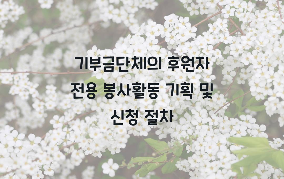 기부금단체의 후원자 전용 봉사활동 기획