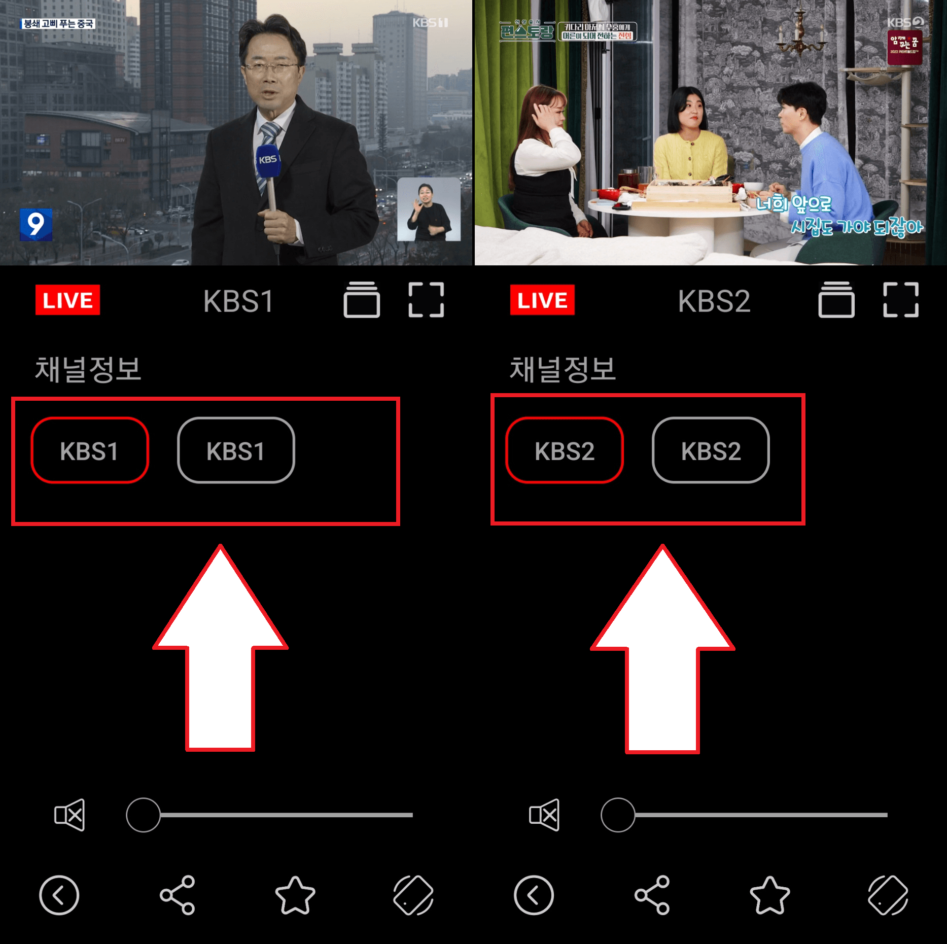 다양핸 재생 주소