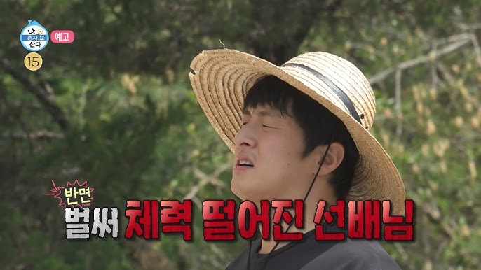 나혼자산다 597회