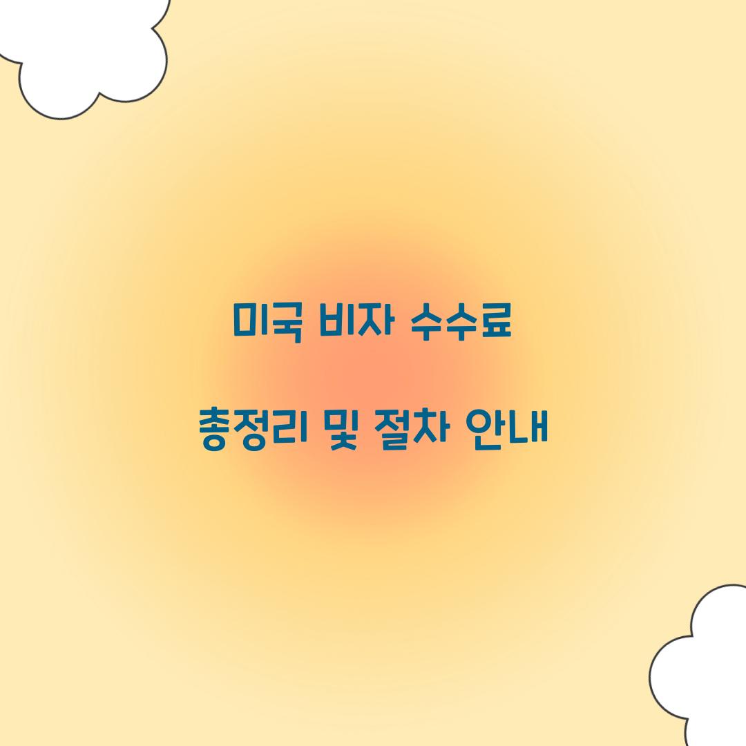 미국 비자 수수료