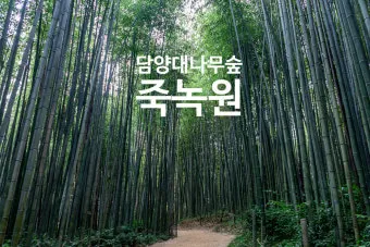 담양 대나무숲 산책 코스 죽녹원 메타길 맛집 동선 가이드_6