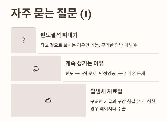 자주 묻는 질문 (FAQ) 1