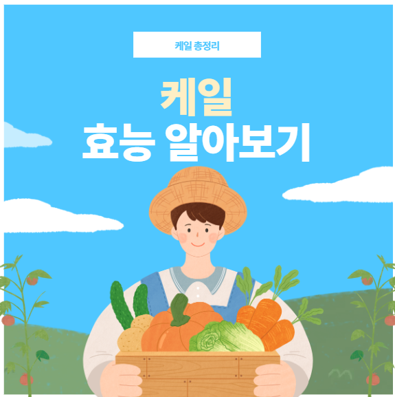 케일 효능 총정리! 해독&middot;항산화&middot;장 건강까지 한 번에