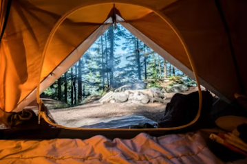 캠핑용품점 창업에 대하여 알아보기