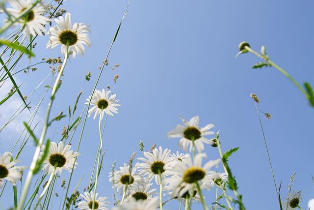혈압을 낮추는 생활 습관, 약보다 중요한 7가지 비밀