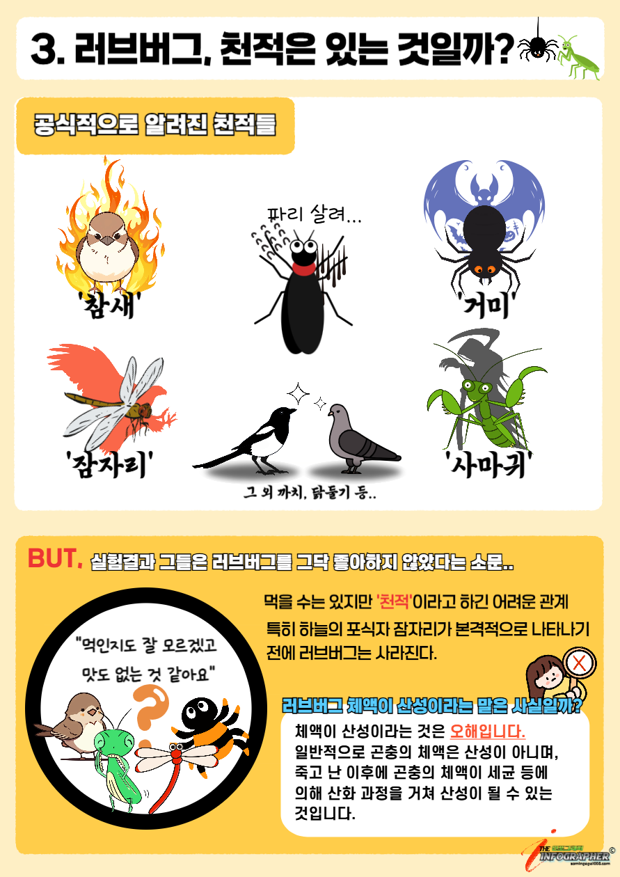 &quot;그들은 돌아온다&quot; 한여름의 검은 불청객, 러브버그의 모든 것(급증 원인 / 천적 / 퇴치 / 실생활 대처법)
