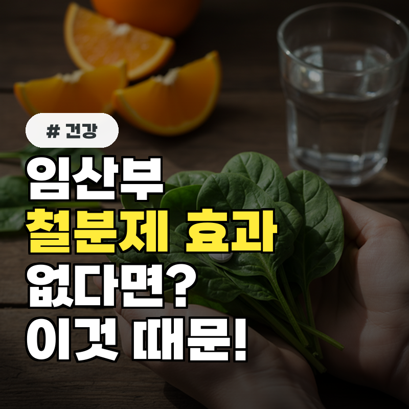 임산부 철분제 먹고도 효과 없다면 '이것' 때문입니다