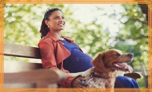 임신 중 애완동물 키우는거 괜찮을까요