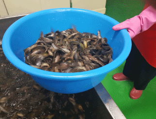 현식당 대표 메뉴