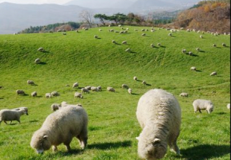 평창 가볼만한곳