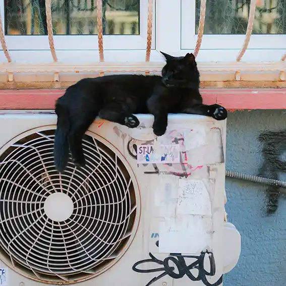 폭염 영향예보 직접 전달 서비스