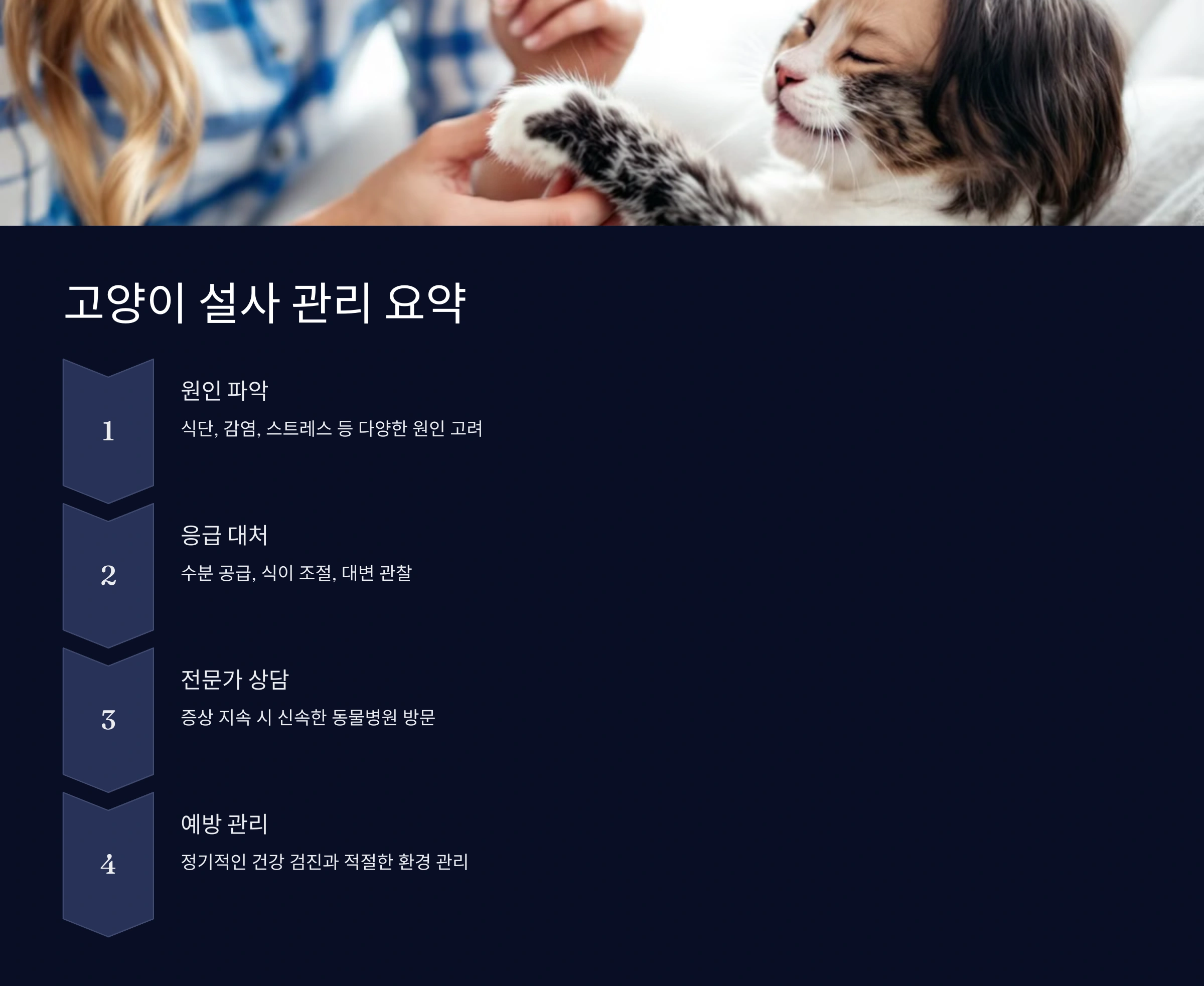 고양이 설사의 원인과 응급 대처법