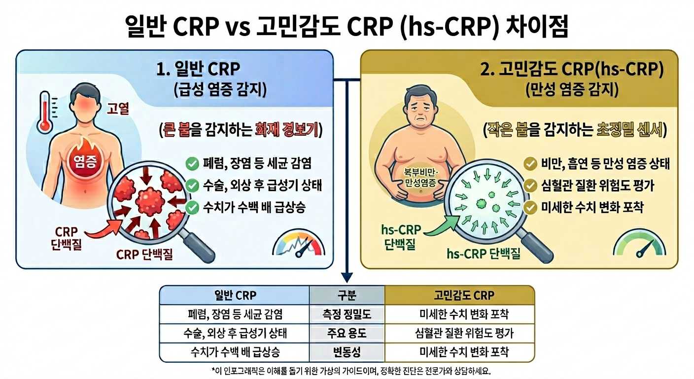 일반 CRP와 고민감도 CRP 차이점을 설명하는 인포그래픽